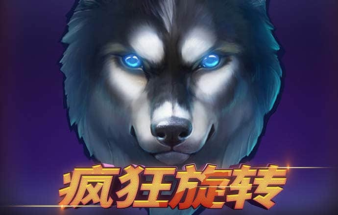 足球波胆app网站截图0